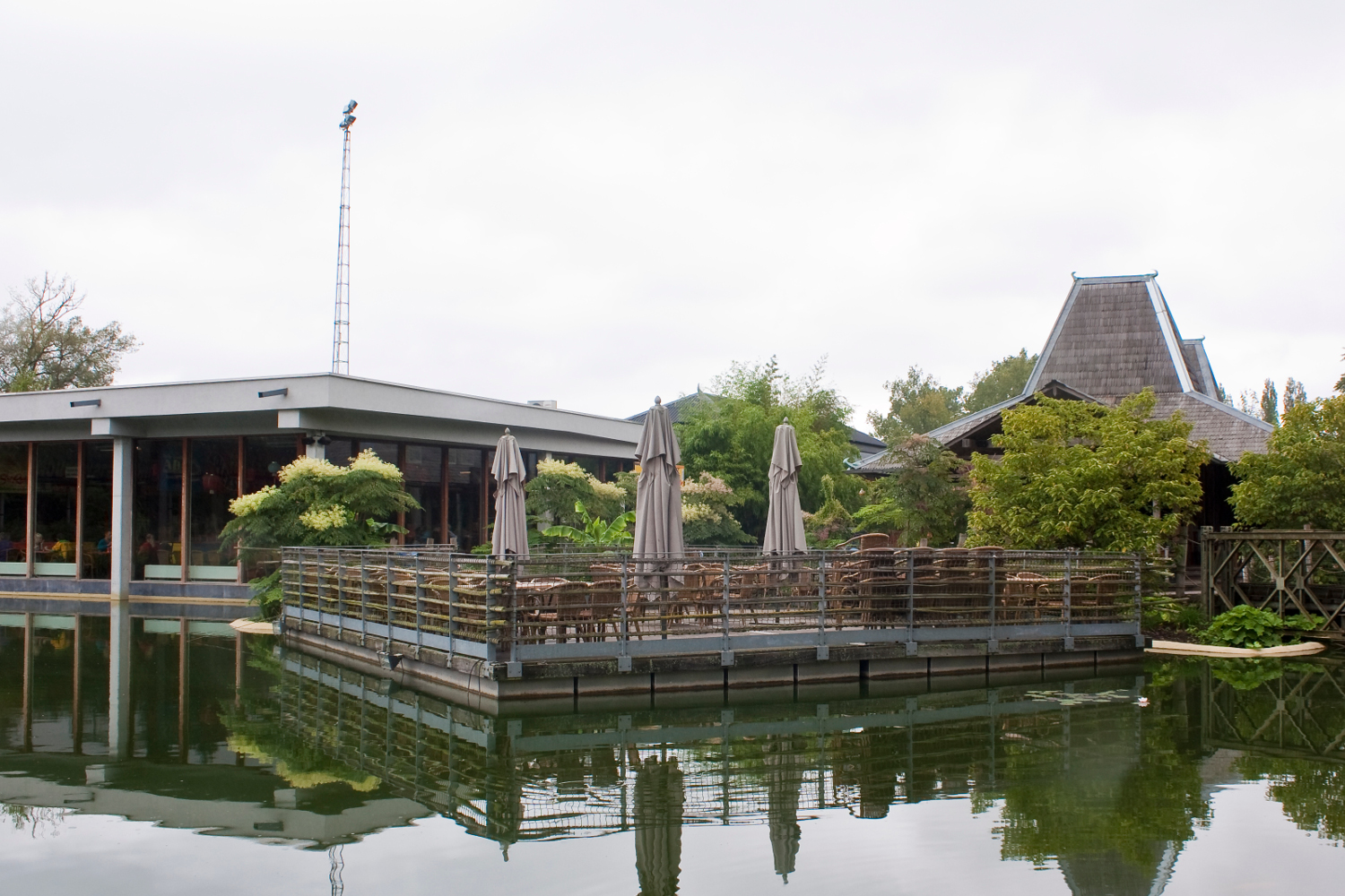 Verrassend Azië, Planckendael, Muizen-Mechelen